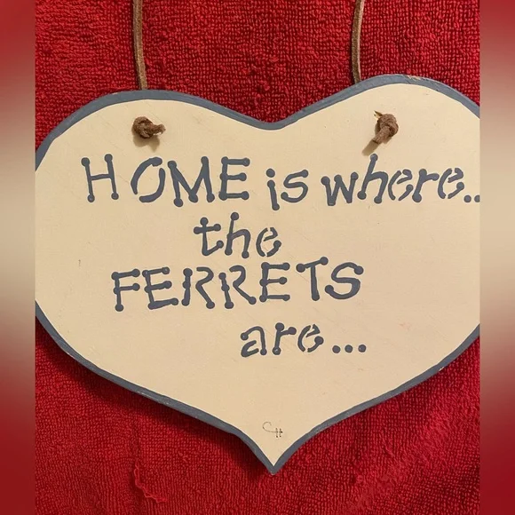 Handmade wooden decorative plaque “Home is where the Ferrets are…” - Picture 2 of 12